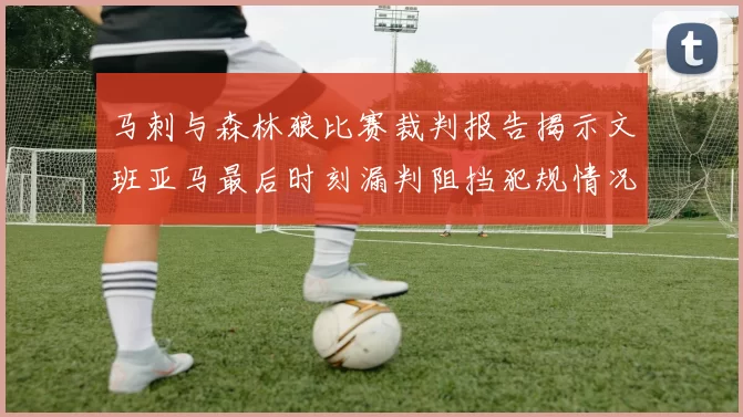 马刺与森林狼比赛裁判报告揭示文班亚马最后时刻漏判阻挡犯规情况